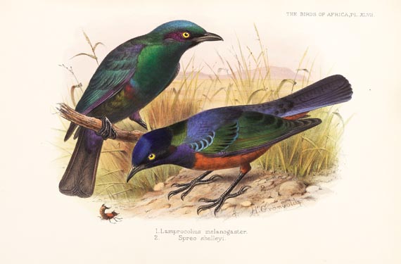 George Ernest Shelley - Birds of Africa, 6 Bde. (1896)