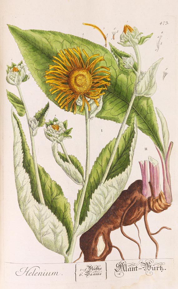 Elisabeth Blackwell - Herbarium. 5. Bd. (1765)