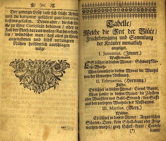 Müller, S. - Curioser Botanicus. 1706