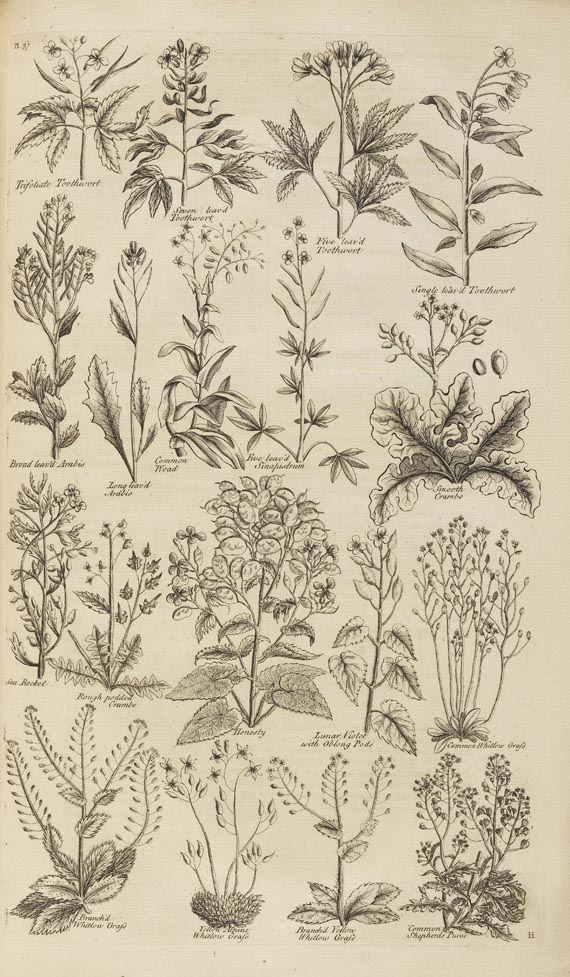 John Hill - British herbal. 1756