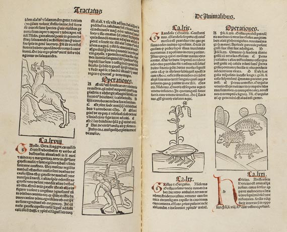 Hortus Sanitatis - Hortus sanitatis. 1491   26(S9)