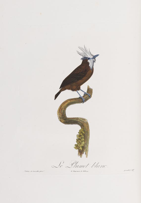 Anselme-Gaetan Desmarest - Histoire naturelle des Tangaras, des Manakins et des Todiers. 1805-07. - Weitere Abbildung