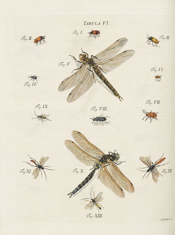 Jacob Christian Schäffer - Icones Insectorum Ratisbonensium, 2 Bde, o.J.
