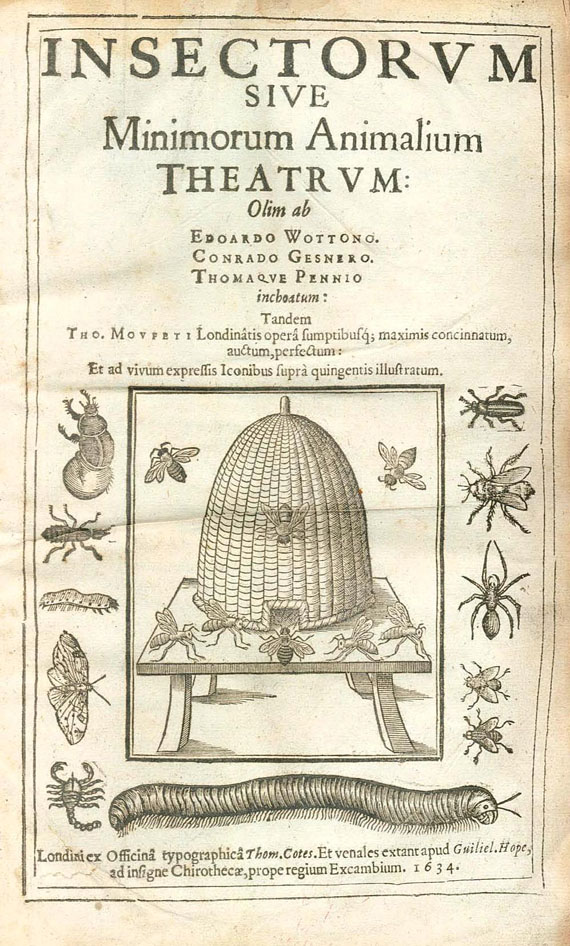 Thomas Moffet - Insectorum. 1634.