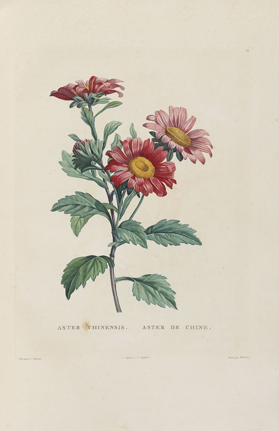Jean-Jacques Rousseau - La botanique, 1805. - Weitere Abbildung