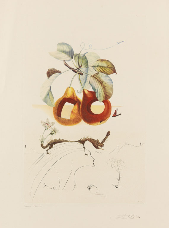 Salvador Dalí - Fruits troués