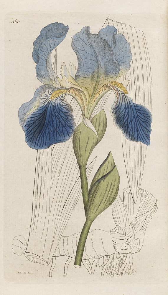 Johann Wilhelm Palmstruch - Svensk Botanik. 10 Bde. + 1 Heft 1802