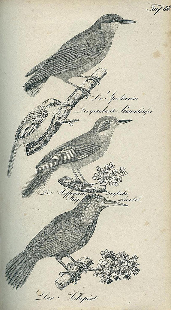   - Die Naturgeschichte. 1835. 2 Bde.