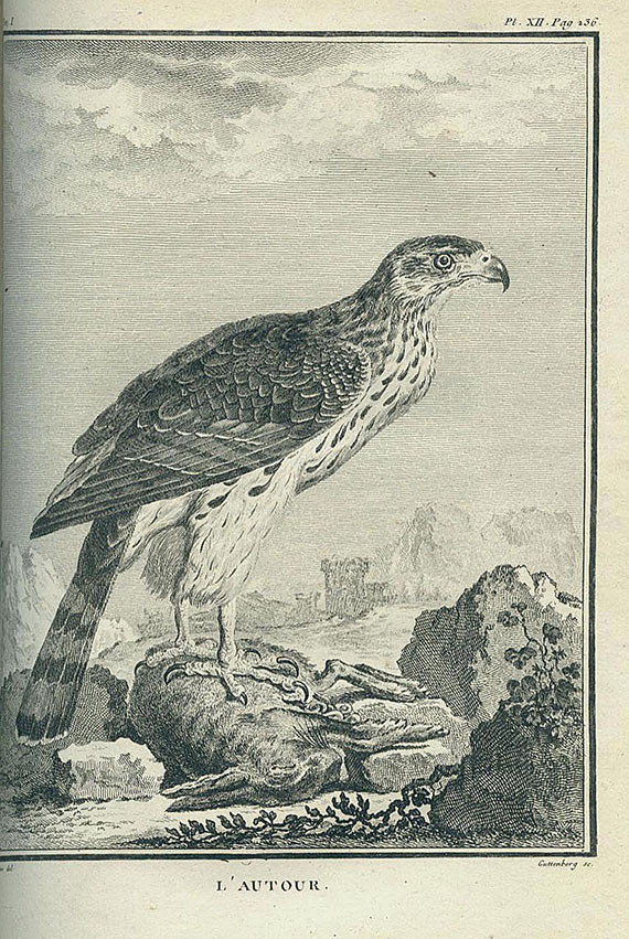 Buffon, G. L. L. de - Histoire naturelle des oiseaux. 1770-79. 5 Bde.