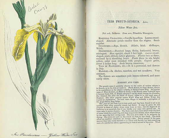 Robert Hogg - Wild flowers of Great Britain.1863-80. 10 Bde.