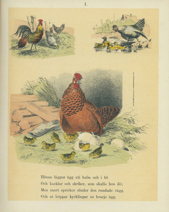 Votteler, C. - Djurbilderbook. 1879. - Dabei: Hokus Pokus. 1949
