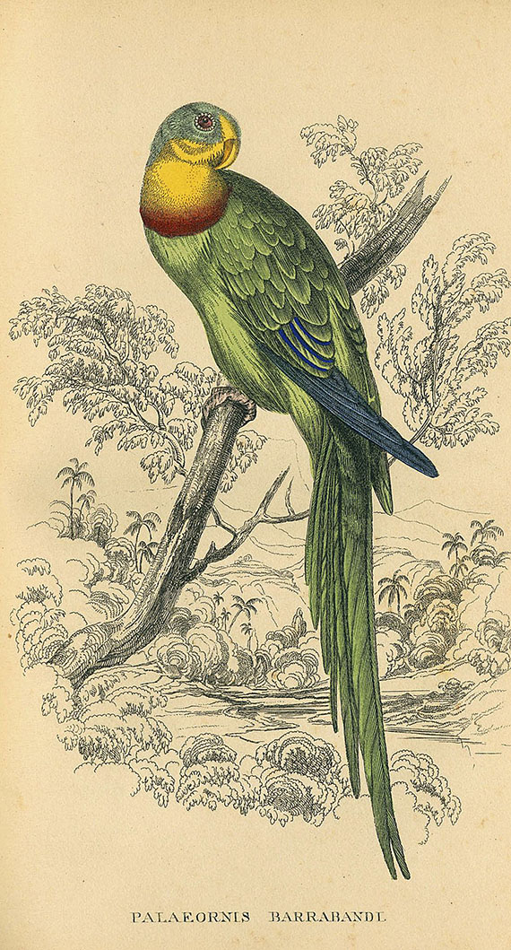 Prideaux John Selby - Naturgeschichte  der Papageien. 1842.