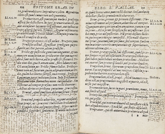 Desiderius Erasmus von Rotterdam - In Laurentii Vallae elegantiarum libros epitome. 1550. - Weitere Abbildung