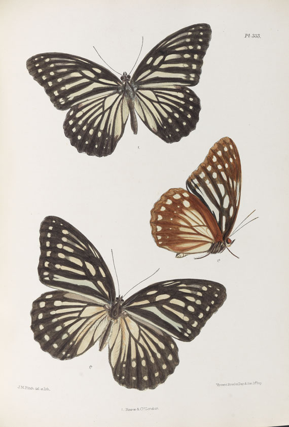 Frederic Moore - Lepidoptera Indica. 1890-1913. 10 Bde..