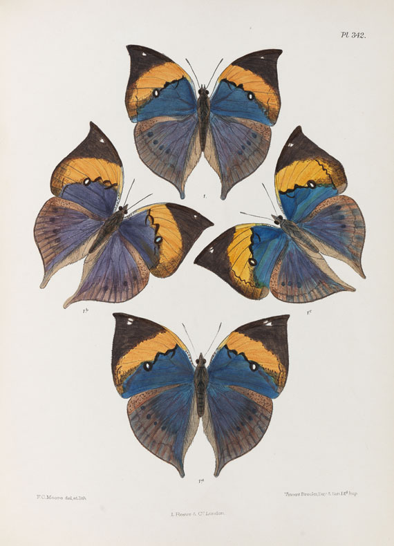 Frederic Moore - Lepidoptera Indica. 1890-1913. 10 Bde.. - Weitere Abbildung