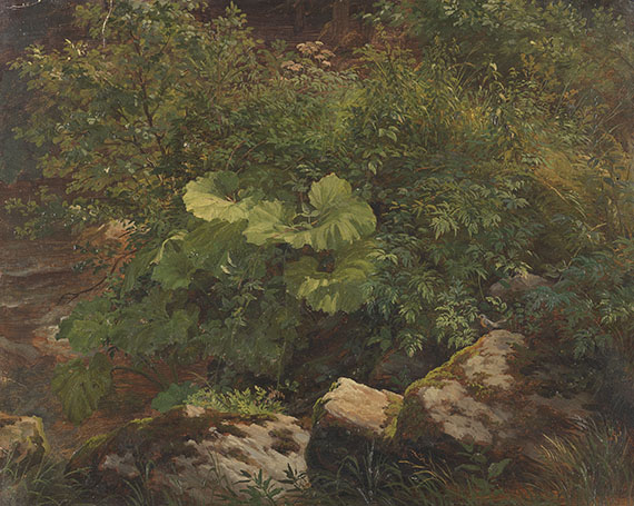 Gustav Friedrich Papperitz - Pflanzenstudie