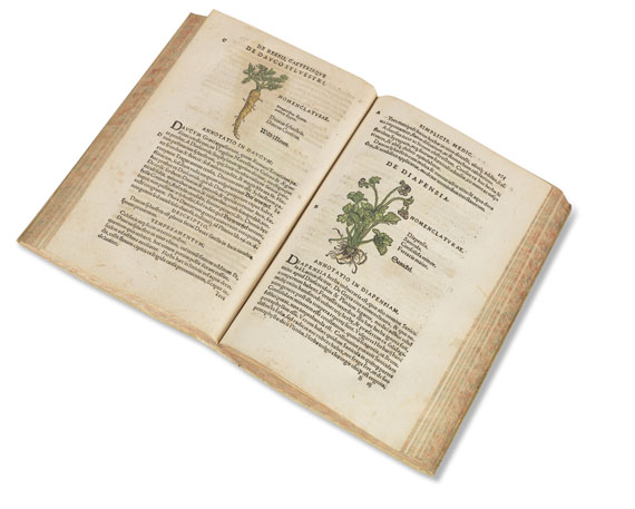 Theoderich Dorsten - Botanicon. 1540.
