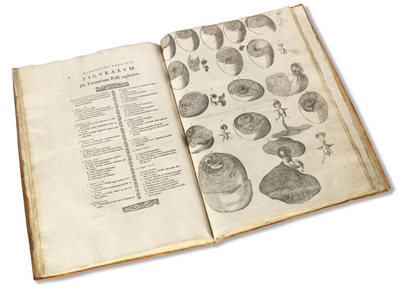 Hieronymus Fabricius ab Aquapendente - De formatione ovi. 1621. - Weitere Abbildung