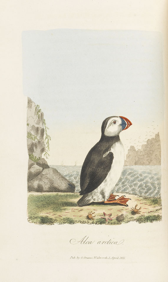 George Graves - British ornithology. 1811. - Mudie, The feathered tribes. 1841. 2 Bde.