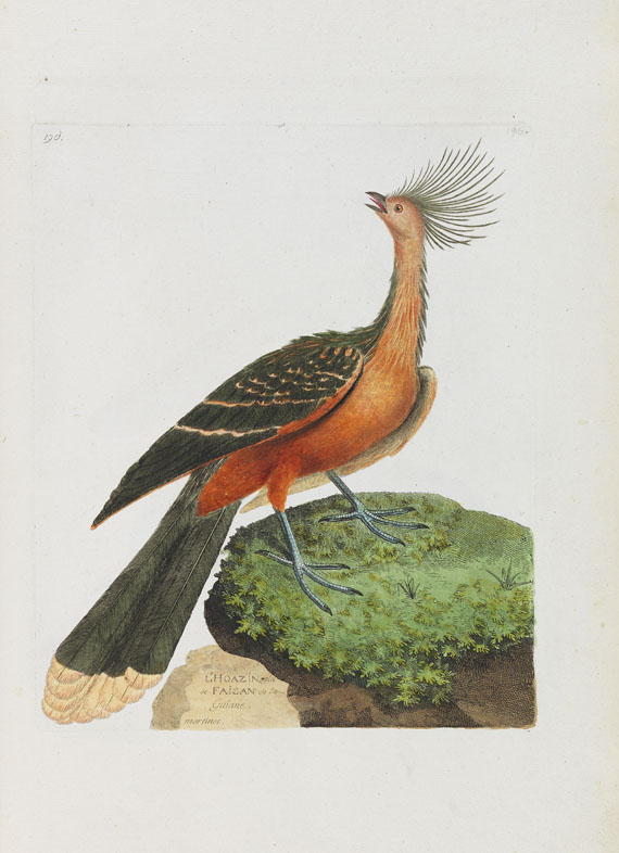 Francois Nicolas Martinet - Oiseaux. Um 1780-90. - Weitere Abbildung