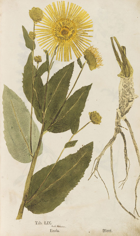 Christian Gottlieb Ludwig - Ectypa vegetabilium. 1760. - Weitere Abbildung