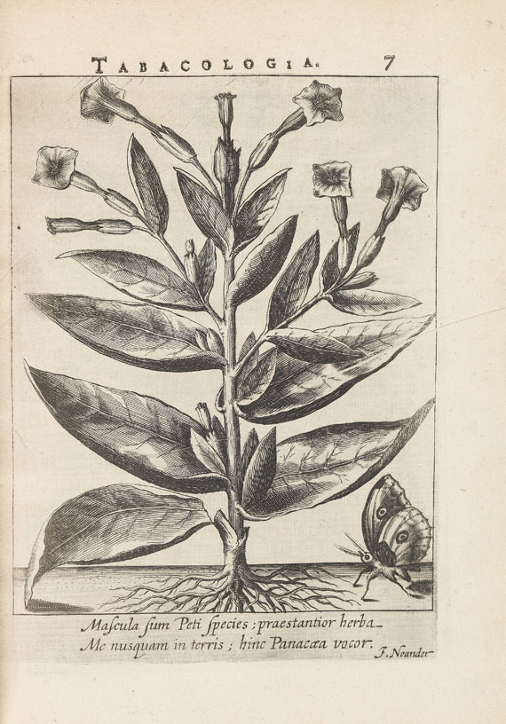 Tabak - Tabacocologia. 1626