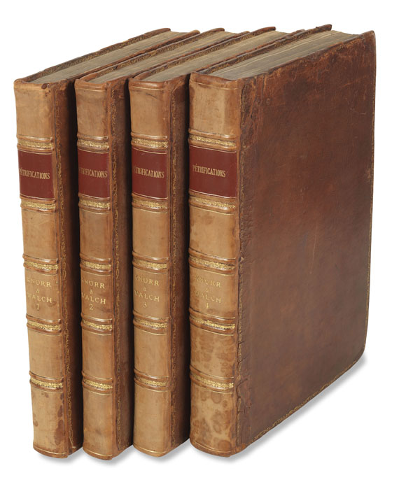 Georg W. Knorr - Recueil des monumens des catastrophes. 4 Bde. 1768-1778 - Weitere Abbildung