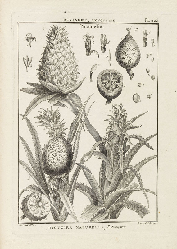 J. B. A. P. Monnet de Lamarck - Tableau Encyclopedique et methodique. 10 Bde. 1791-1823.