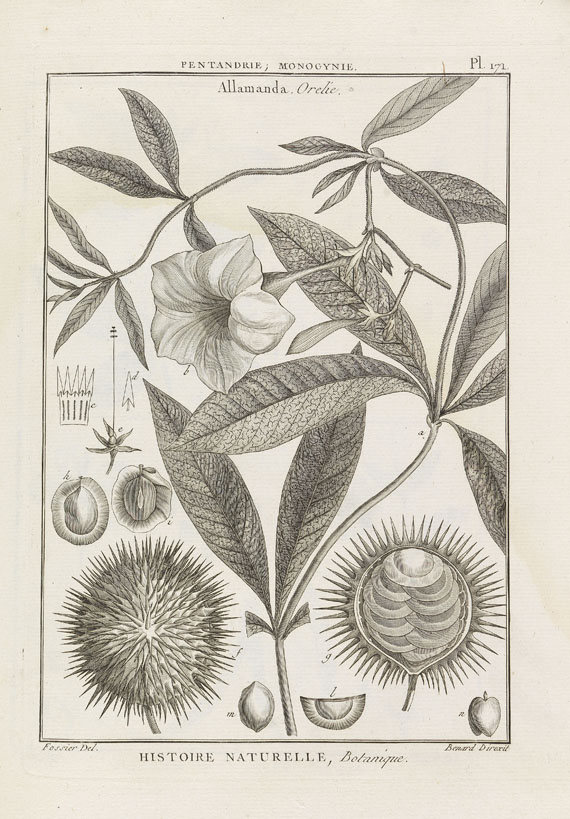 J. B. A. P. Monnet de Lamarck - Tableau Encyclopedique et methodique. 10 Bde. 1791-1823.
