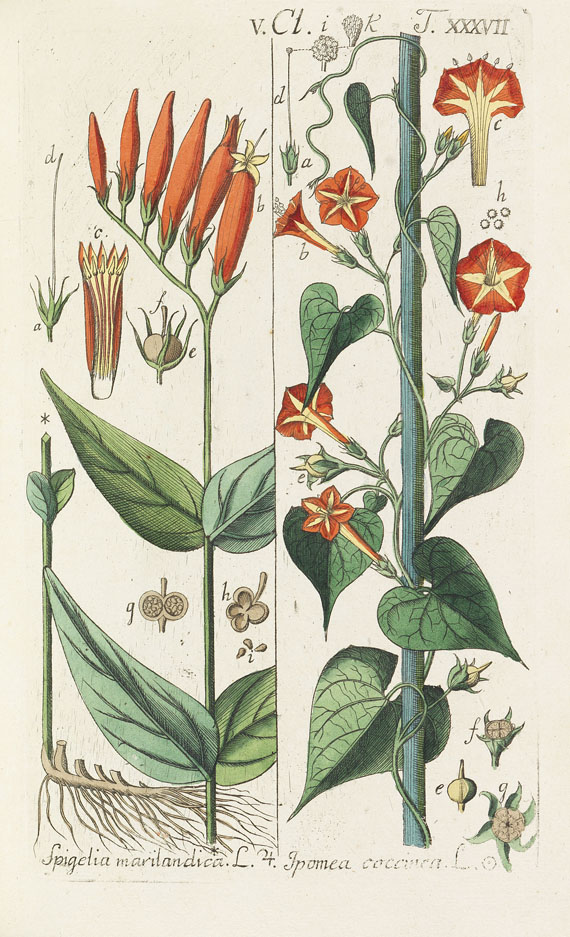 Christian Schkuhr - Botanisches Handbuch. 8 Bde. 1808