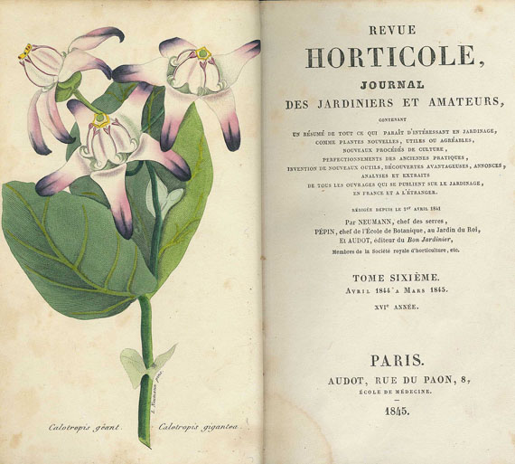 Revue horticole - Revue horticole. 12 Bde. 1844-50