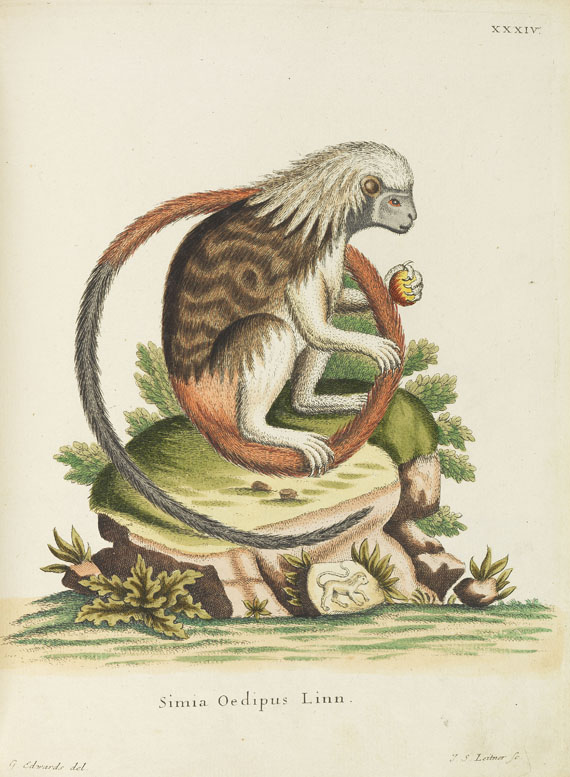 Joh. Chr. D. Schreber - Die Säugethiere. 3 Bde. 1775-78