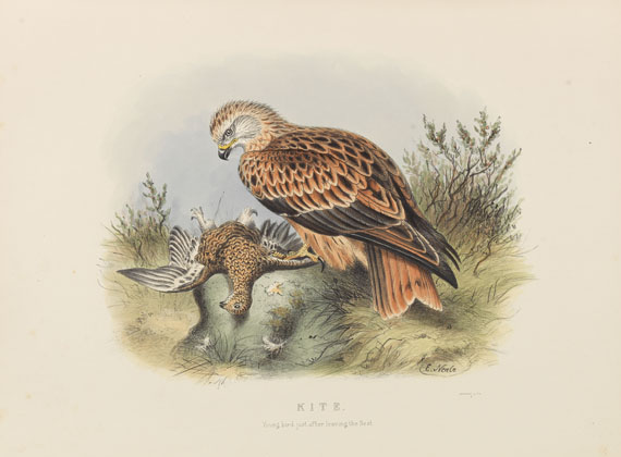 Edwin Carton Booth - Rough notes on the birds in the British Islands. 3 Bde. - Weitere Abbildung