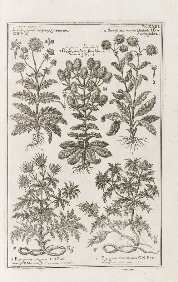 Joannis Baptistae Morandi - Historia botanica practica. 1761.
