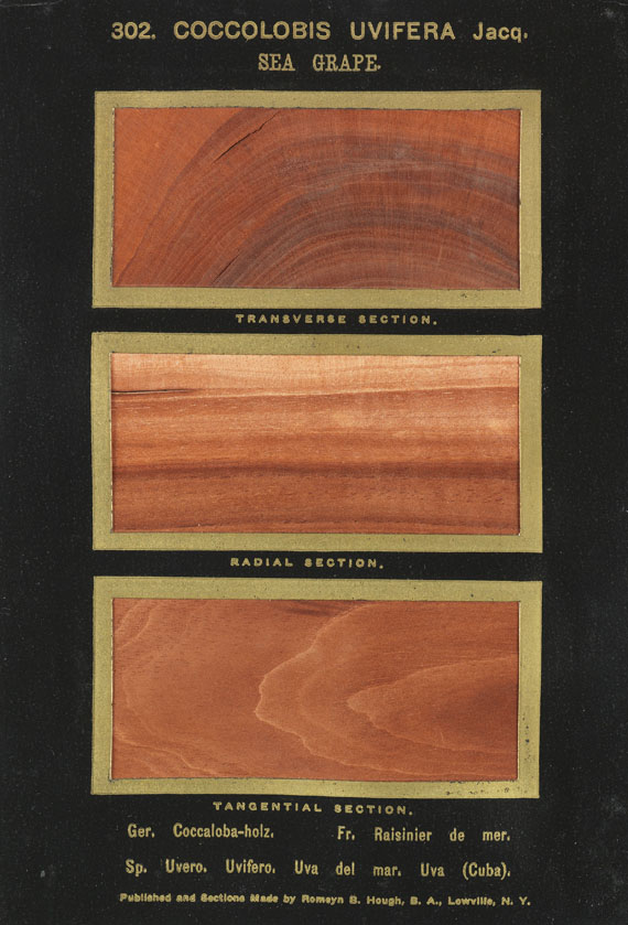 Romeyn Beck Hough - The American Woods. 3 Textbde. und 14 Kassetten mit Tafeln. Zus. 17 Bde.