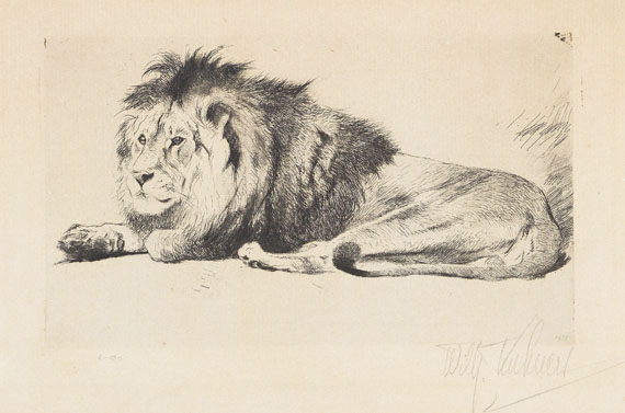 Wilhelm Kuhnert - 4 Bll: Indischer Elefant. Tiger. Löwen. Löwe sitzend - Weitere Abbildung