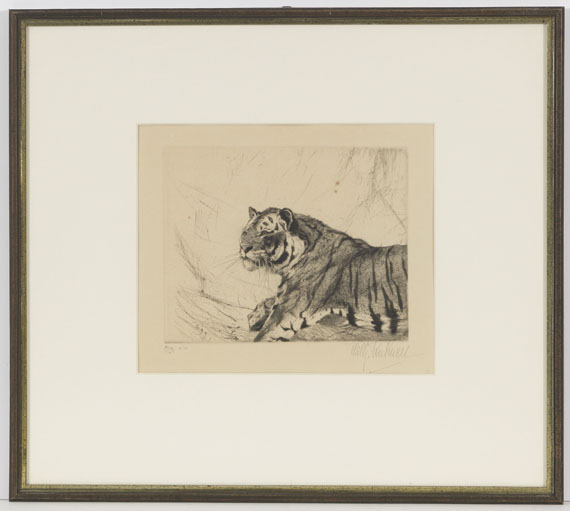 Wilhelm Kuhnert - 4 Bll: Indischer Elefant. Tiger. Löwen. Löwe sitzend - Rahmenbild