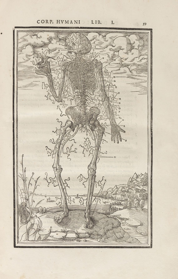Charles Estienne - De Dissectione partium corporis humani. 1545 - Weitere Abbildung