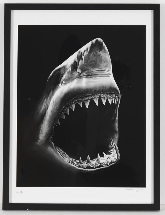 Robert Longo - Shark 5 - Rahmenbild