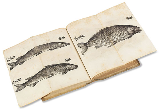   - Bairische Lanndtsordnung. 1553. - Angeb.: Meurer, Jagd- und Forstrecht. 1576. 2 Werke in 1 Bd. - Weitere Abbildung