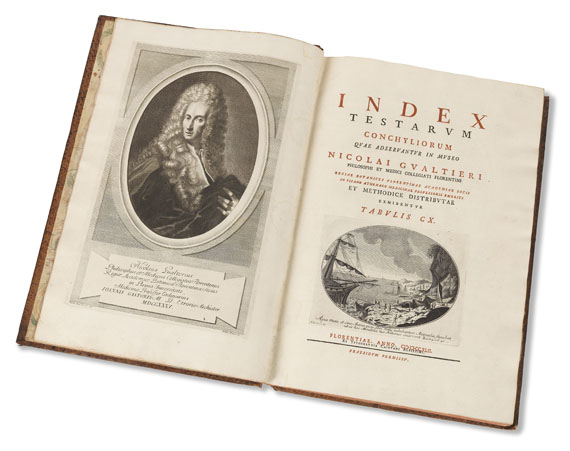 Nicolai Gualtieri - Index Testarum Conchyliorum. - Weitere Abbildung