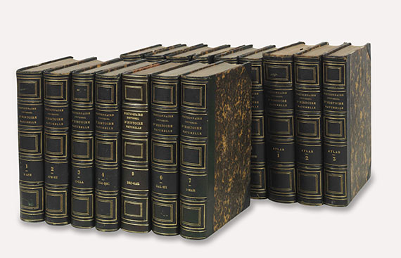 Charles de Orbigny - Dictionnaire universel d