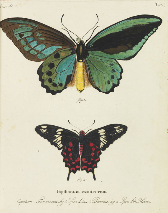 Johann Christoph Esper - Schmetterlinge + Ausländische Schmetterlinge, zus. 20 Bände - Weitere Abbildung