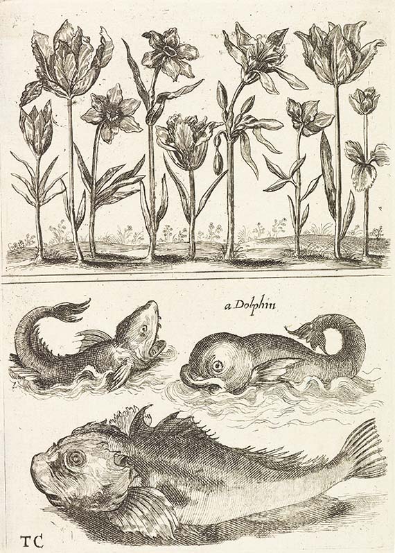 New Boock of Flowers & Fishes - A New Boock of Flowers & Fishes