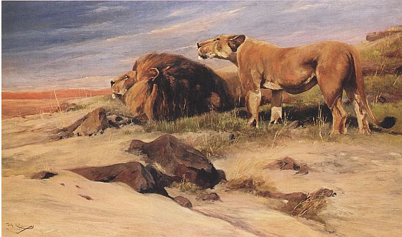 Wilhelm Kuhnert - Löwen in der Savanne