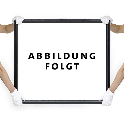 abbildung folgt