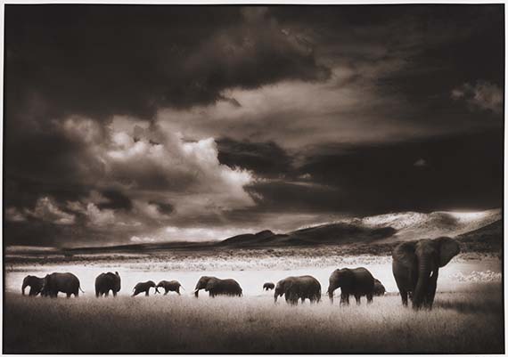 Nick Brandt - Elephant Herd, Serengeti