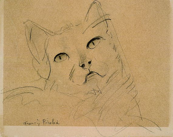 Francis Picabia - Katze