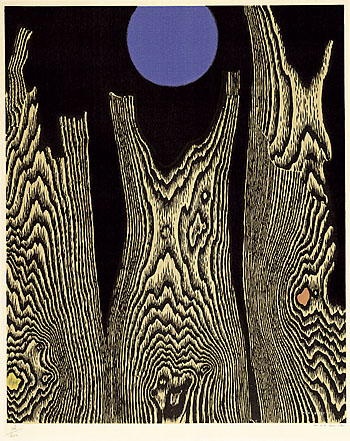 Max Ernst - Forêt et Soleil - Der Bretterwald