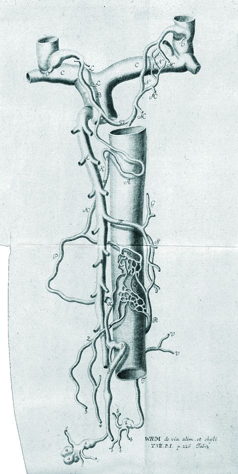   - Disputationem anatomicarum. 7 Bde.